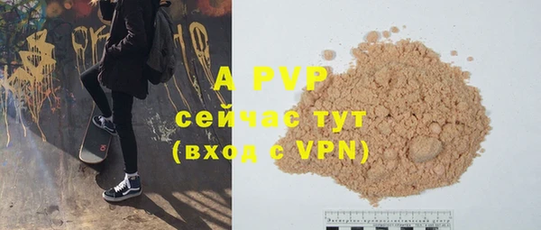 стафф Арсеньев