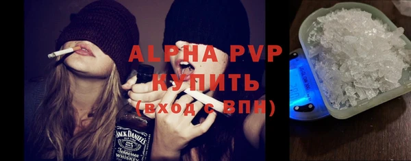 стафф Арсеньев