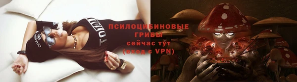 стафф Арсеньев